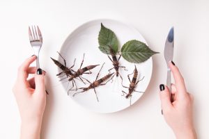 Edible insects- a new trend in food
