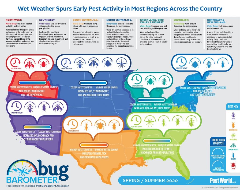 Bug Barometer: Spring and Summer 2020 Pest Forecast