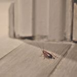 The Pest Force The Hidden Risks of Overwintering Pests